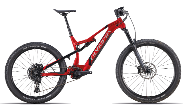 E-MTB Olympia EX 900 Sport
